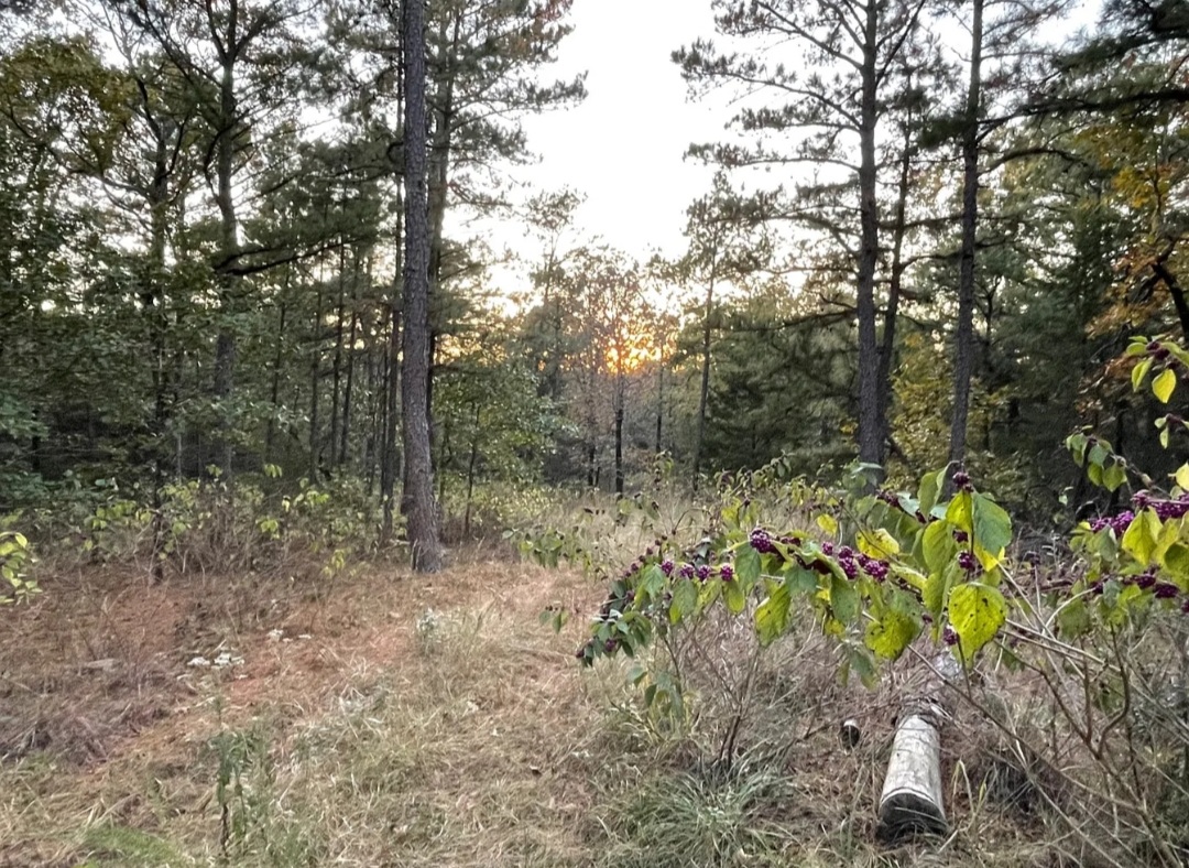 BEAUTIFUL MOUNTAIN PROPERTY